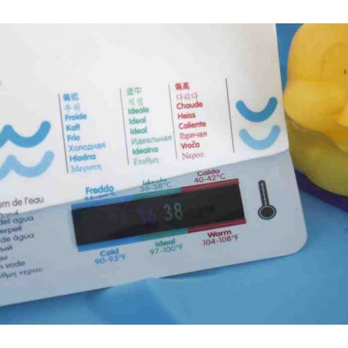 Thermometer for measuring water temperature - sticker buy in online store